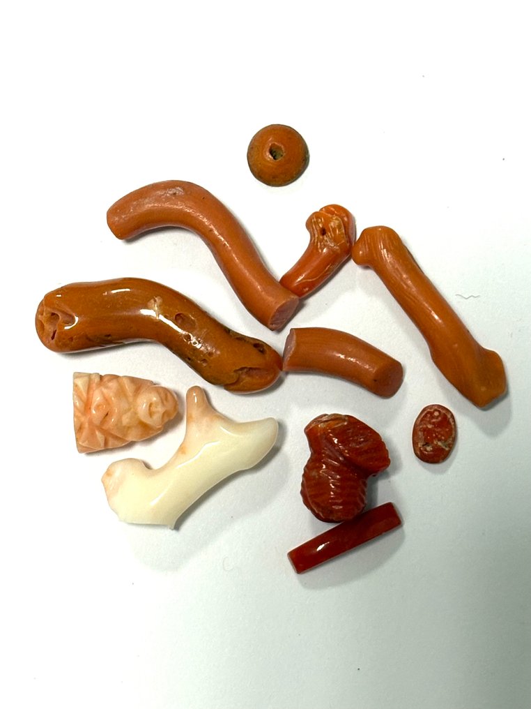 珊瑚 珊瑚 - Coral rubrum  (没有保留价) #1.0