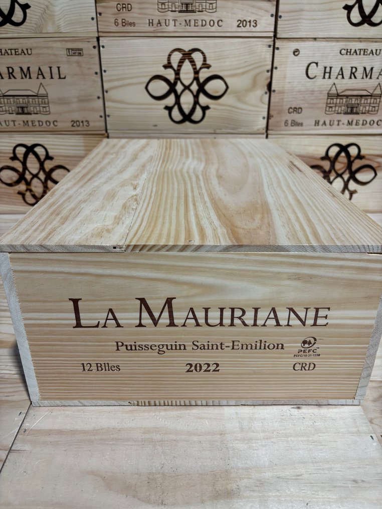 2022 Château Mauriane - 皮伊瑟吉恩-圣埃美隆 - 12 Bottles (0.75L) #1.0