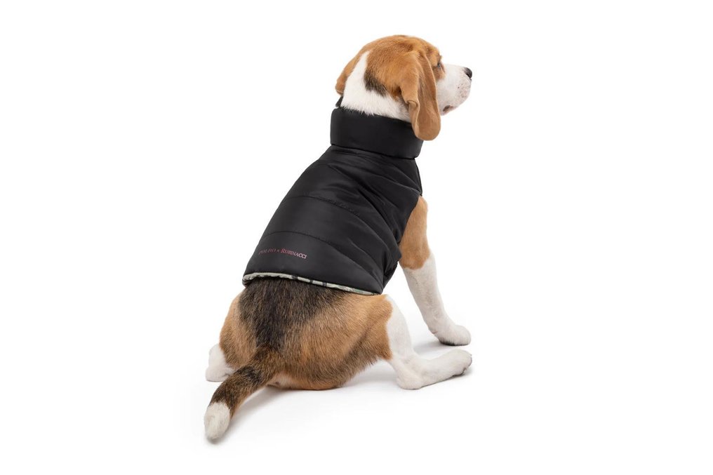 RRP 380€ POLDO X RUBINACCI Reversible Gilet Water-Repellent Nylon Goose Down Filled Size M - Pet accessory #1.0