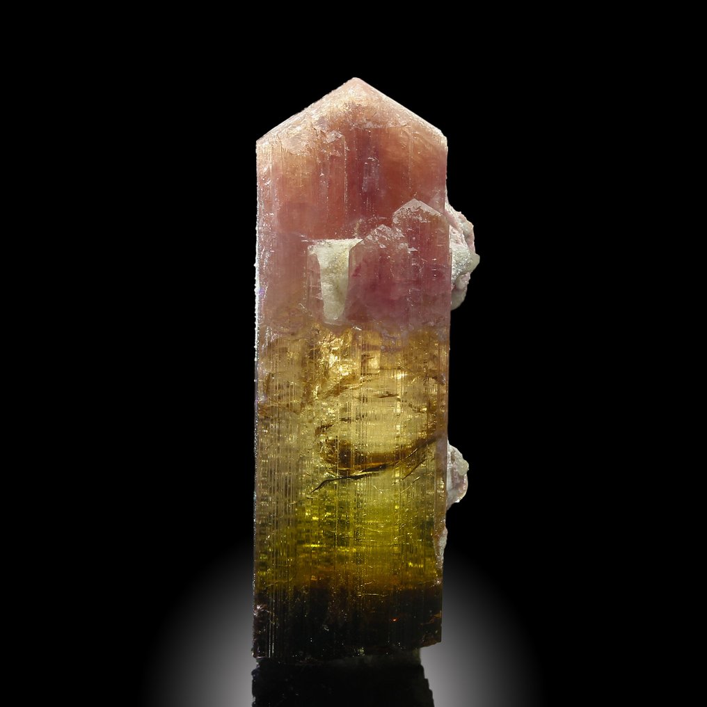 紫、红宝石色宝石——碧玺、鲁贝尔石、利迪科阿泰、XL 精美的红宝石色宝石 水晶 - 高度: 4 cm - 宽度: 1.5 cm- 15 g #1.0