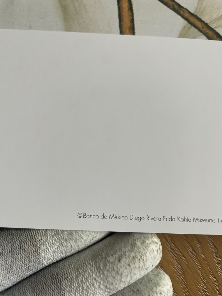 Frida Kahlo - Self-portrait with Thorn Necklace and Hummingbird, 1940, copyright Banco de Mexico Diego Rivera, #4.3