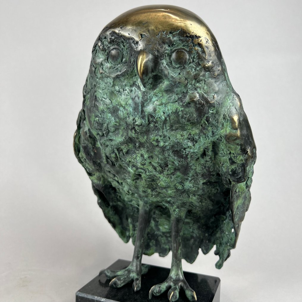 J. Zak (XX-XXI) - The owl. Large, bronze, 5kg #1.0