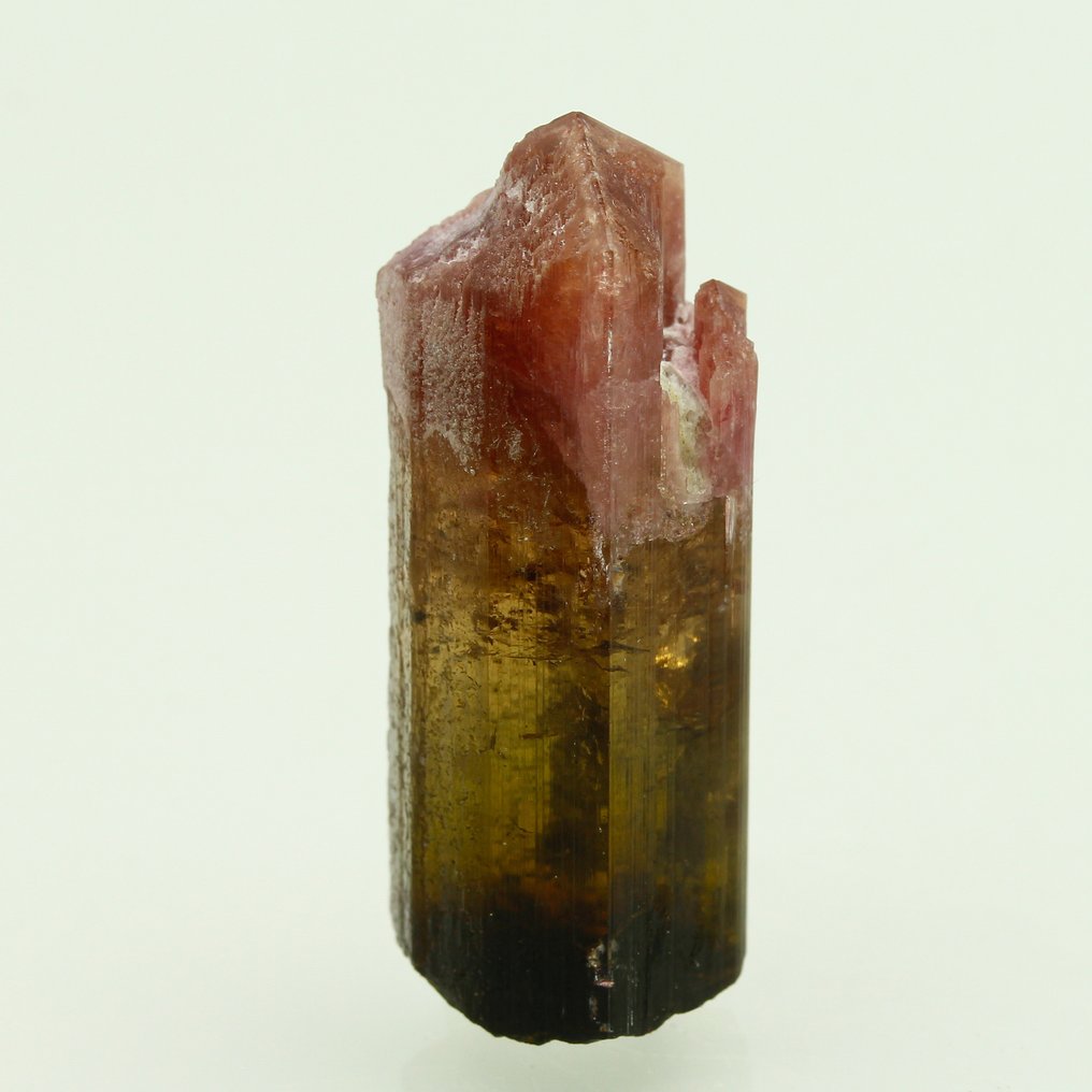 紫、红宝石色宝石——碧玺、鲁贝尔石、利迪科阿泰、XL 精美的红宝石色宝石 水晶 - 高度: 4 cm - 宽度: 1.5 cm- 15 g #2.1