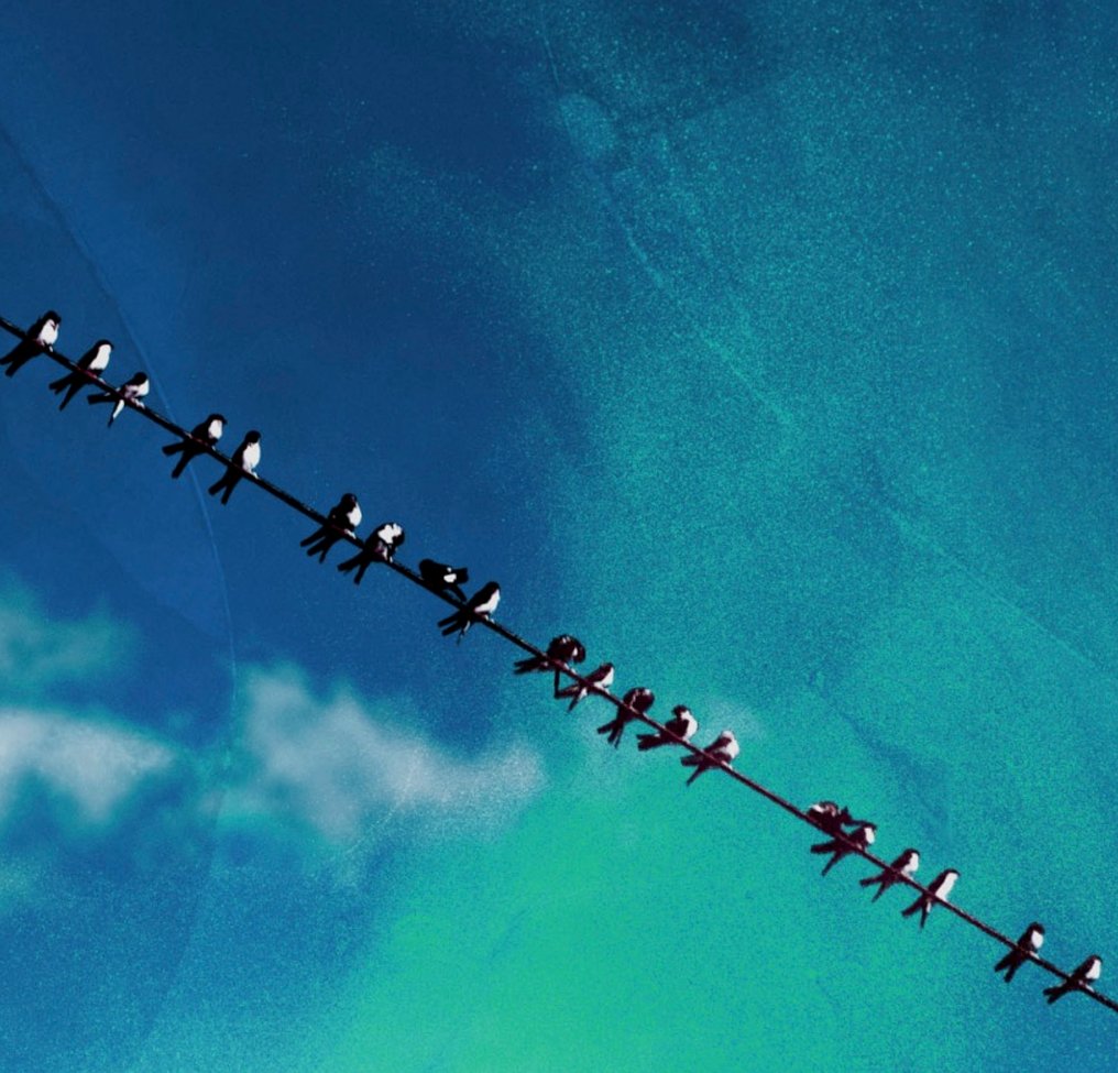 Jaime Oriz - Birds flag II #4.3