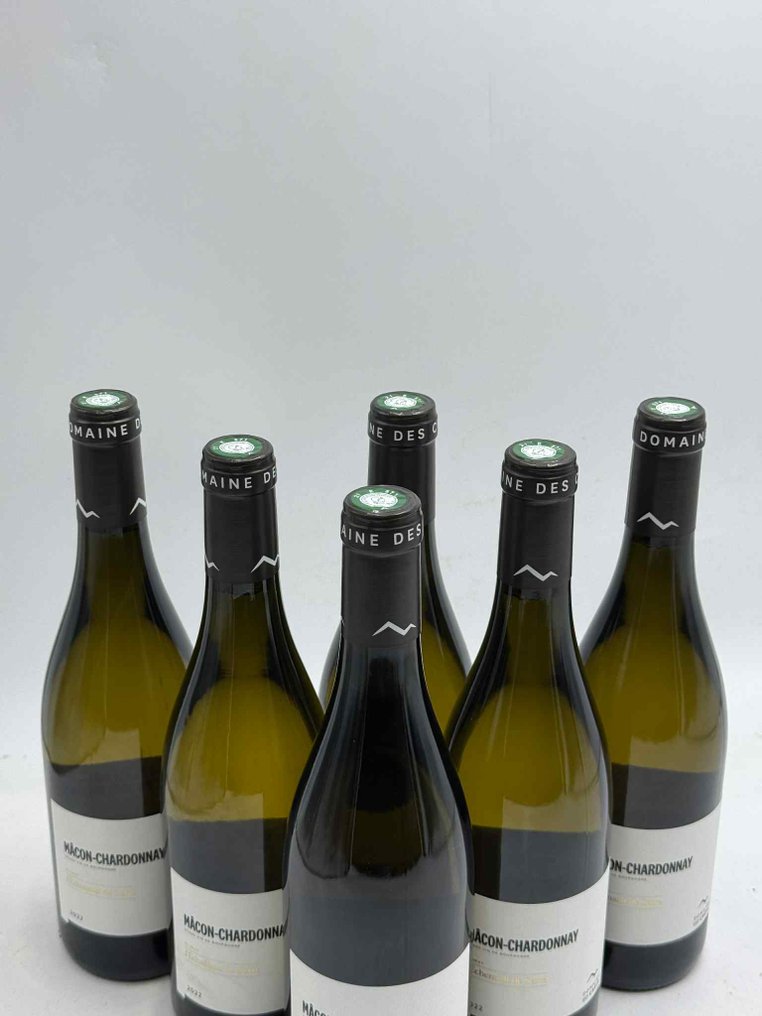 2022 Domaine des Crêts Climat L'échenault de Serre - Mâcon-Chardonnay - 6 Bottles (0.75L) #3.2