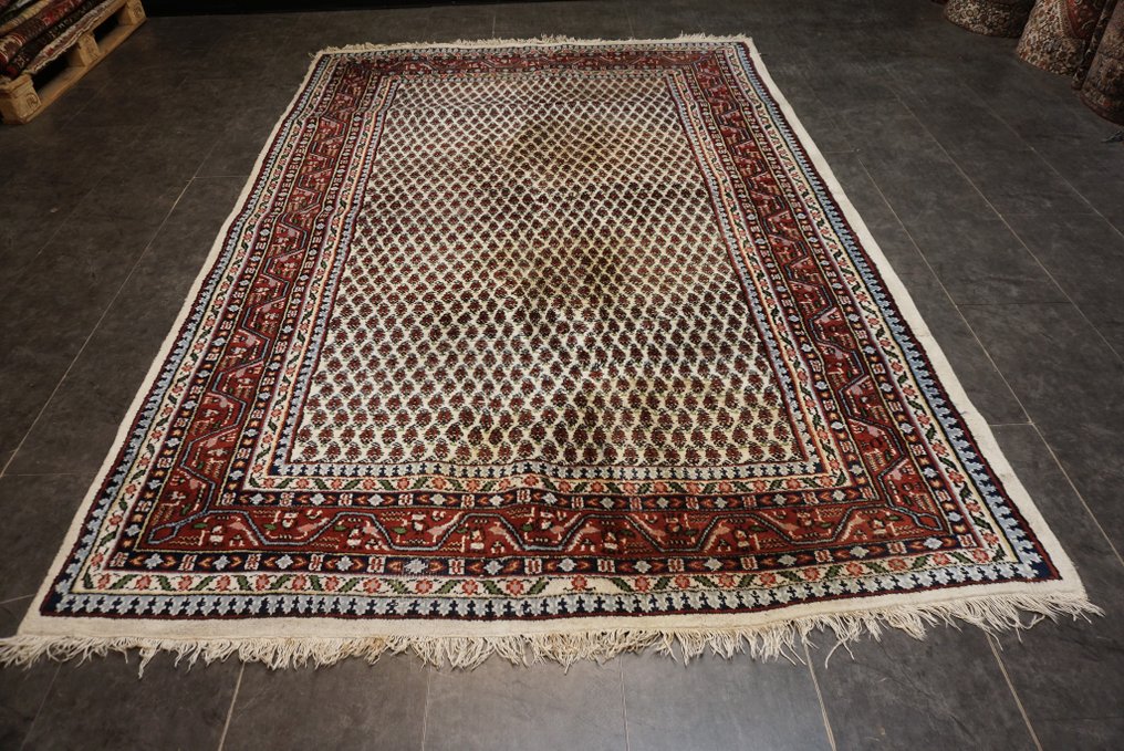 Sarough Mir - Tæppe - 282 cm - 196 cm #1.0