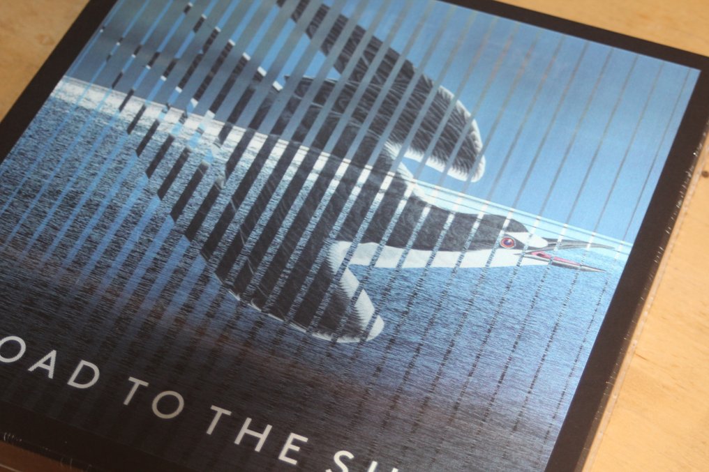 Pat Metheny - Road To The Sun - Deluxe Edition - Συλλογή LP - 2021 #2.1