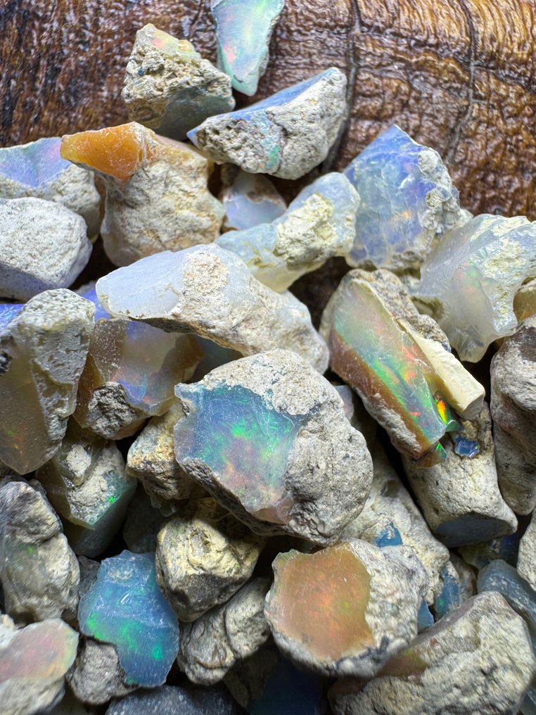 Τάξη φυσικών οπαλών της Αιθιοπίας, ακατέργαστα. 250 καράτια. Χωρίς ελάχιστη τιμή. Άγριος, μη κομμένος- 50 g #4.3