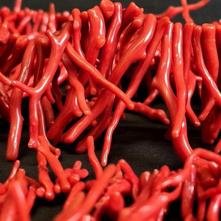 Natural intense red coral branch wire with irregular branches, drilled at the tip in a cascading Approximately 7/45 mm, 55 cm- 92 g - (1) #1.0