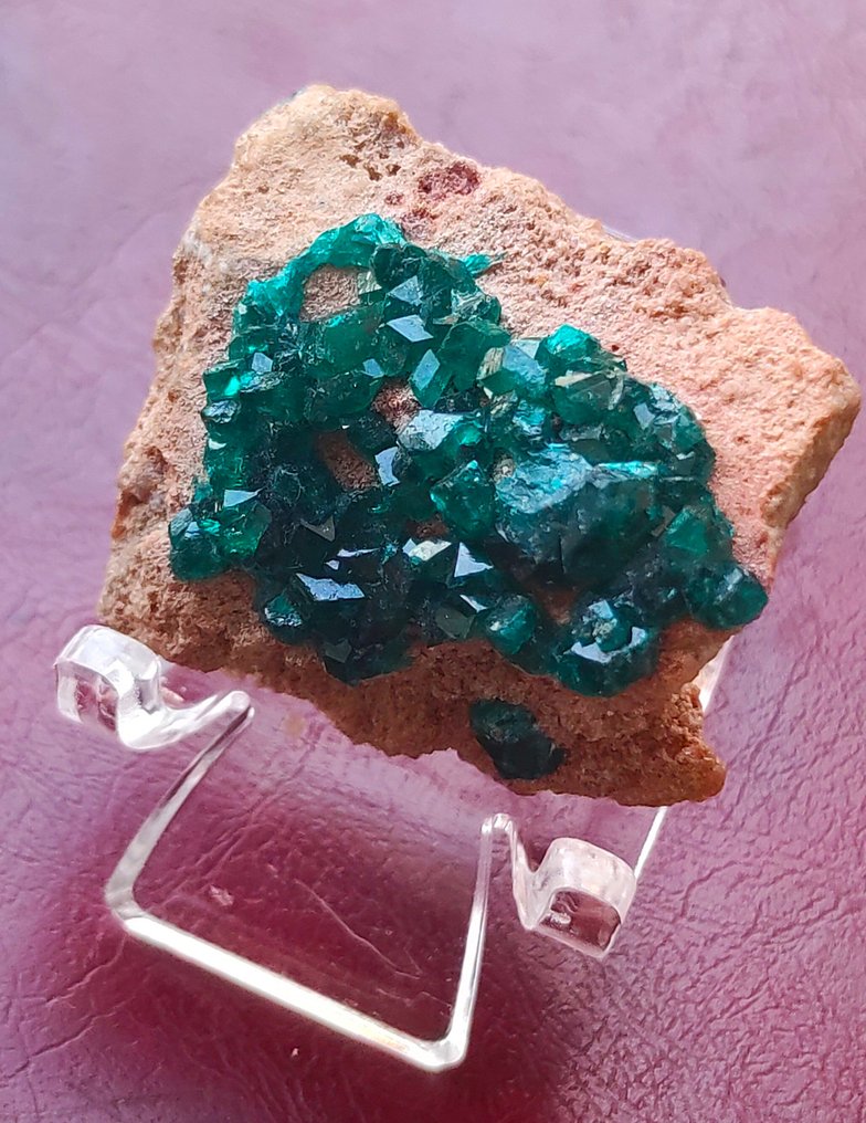 Dioptase Crystal cluster - Height: 40 mm - Width: 31 mm- 21 g #2.1