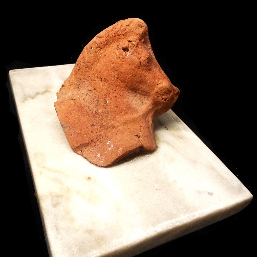 古希腊，希腊化时代 古罗马陶土马头雕像  (没有保留价) #2.1