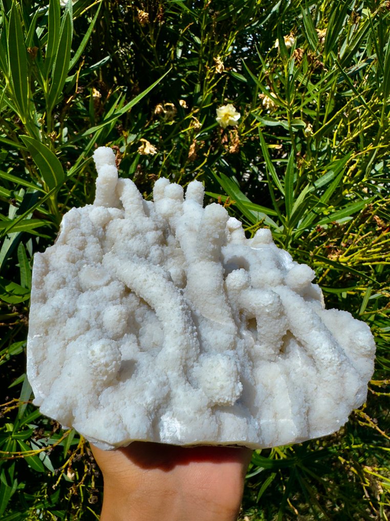 Beautifull Coral Chalcedony Crystal on matrix - Height: 19 cm - Width: 17 cm- 2203 g - (1) #3.2