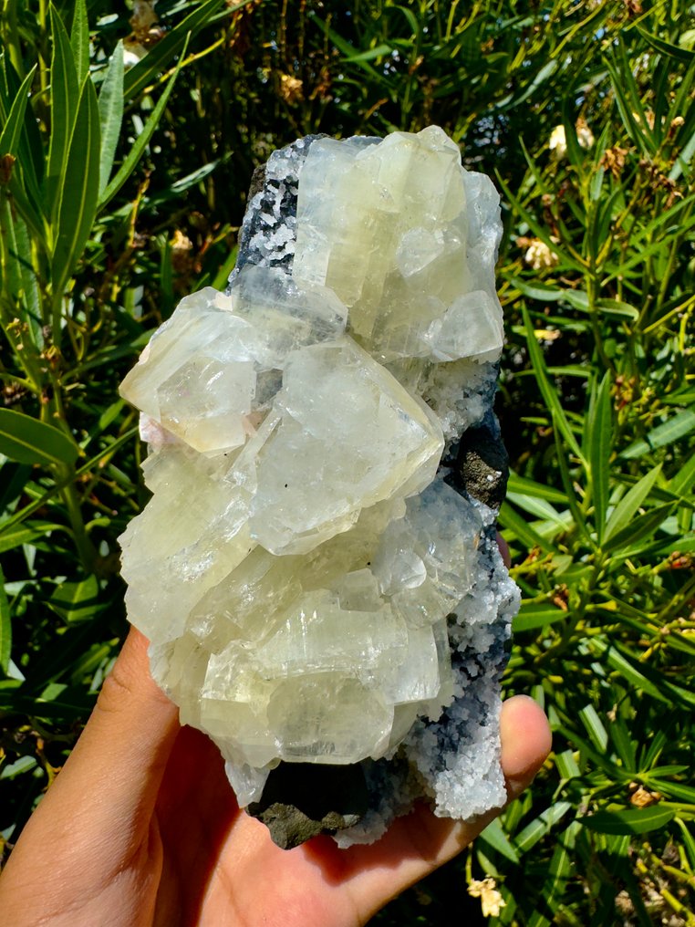 Stunning Green Apophyllite on Chalcedony Crystal on matrix - Height: 13 cm - Width: 7 cm- 752 g - (1) #1.0