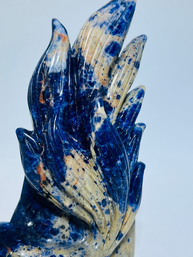 Εννέα-ουράς Αλεπού σε Σωδαλίτη – Φύλακας της Νύχτας - Ύψος: 188 mm - Πλάτος: 98 mm- 849 g - (1) #2.1