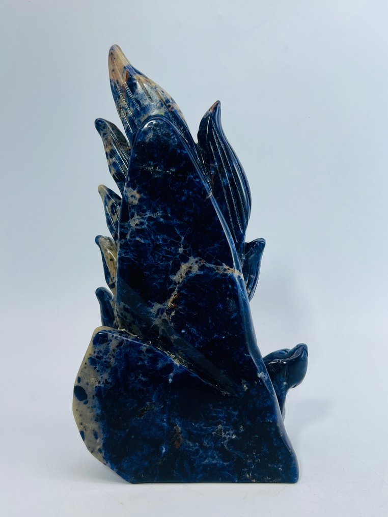 Εννέα-ουράς Αλεπού σε Σωδαλίτη – Φύλακας της Νύχτας - Ύψος: 188 mm - Πλάτος: 98 mm- 849 g - (1) #4.3