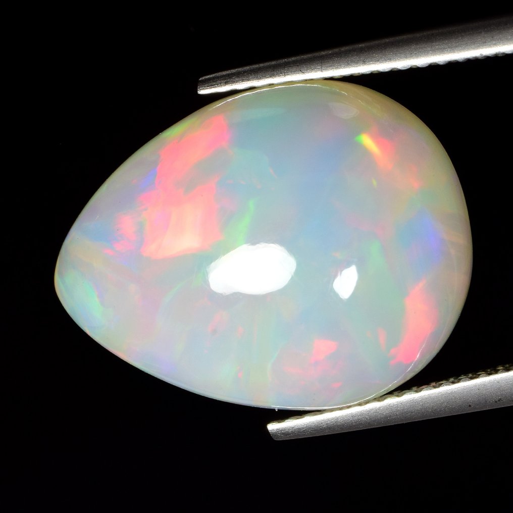 1 pcs  白色 蛋白石  - 10.94 ct - 安特卫普宝石检测实验室（ALGT） #1.0