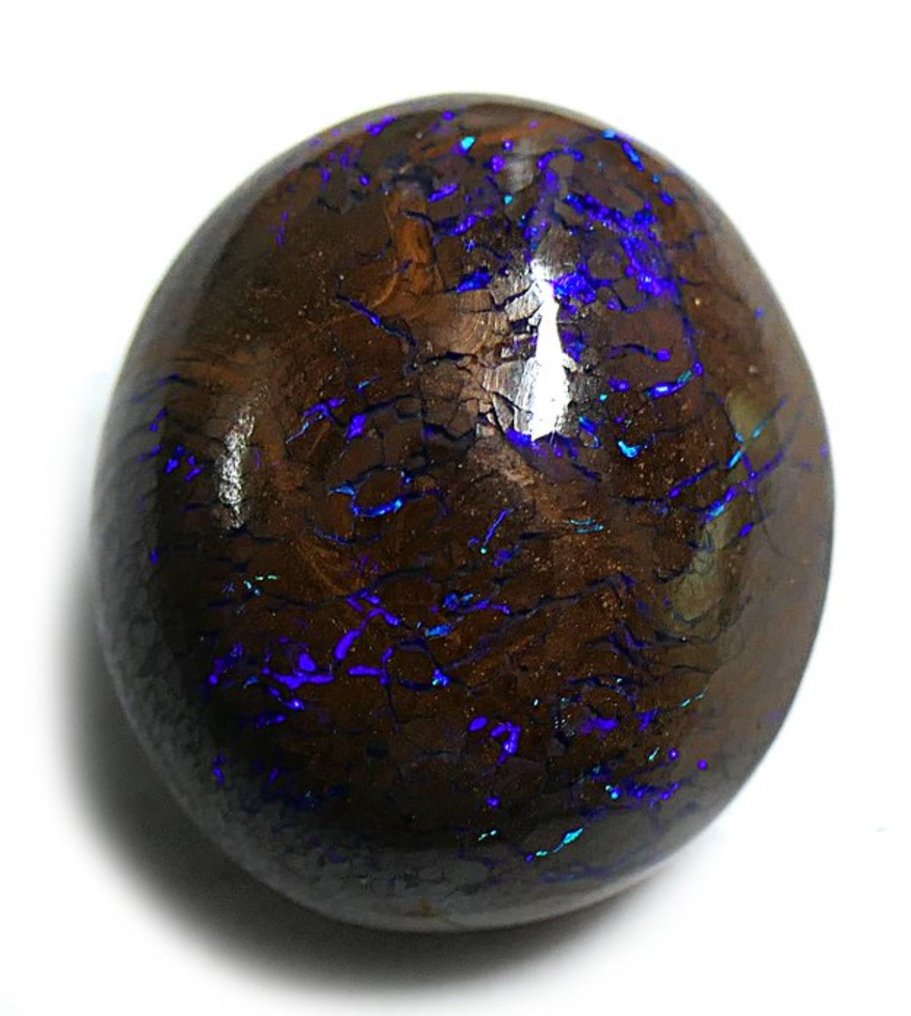 蛋白石 弧面形- 3.29 g - (1) #1.0