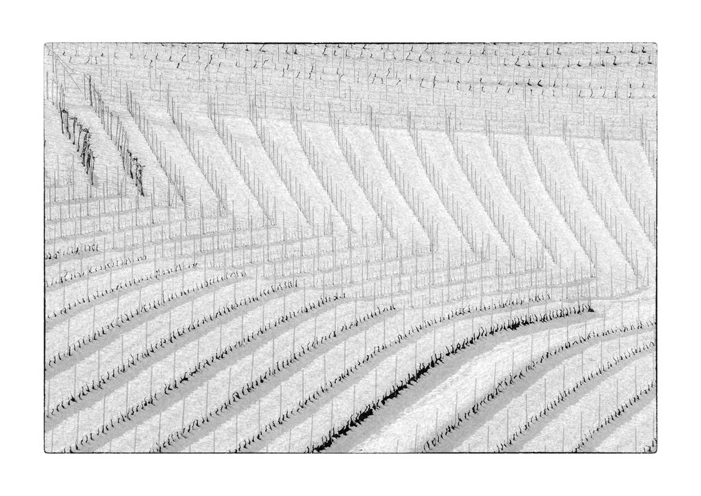 Franco Turcati - Langhe Inverno (521) #1.0