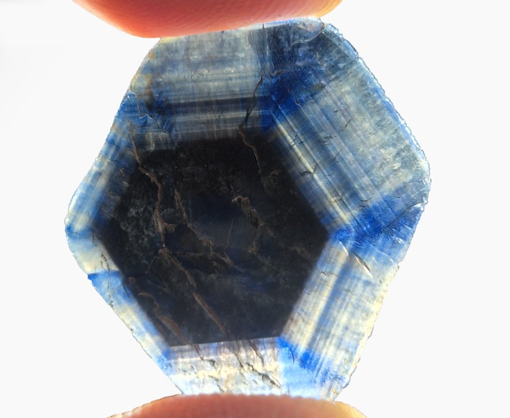 Zaffiro Fetta- 12.25 t - (1) #1.0