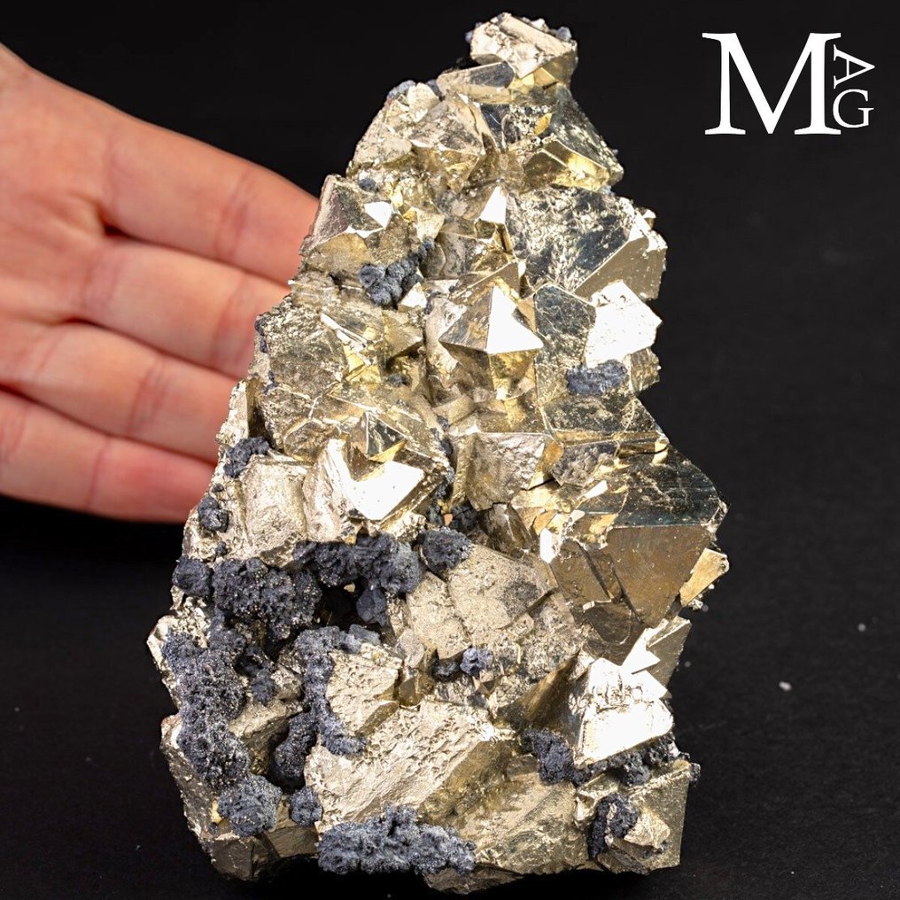 Exceptional Octahedral Pyrite Specimen - Huanzala Mines - Height: 145 mm - Width: 90 mm- 807 g #1.0