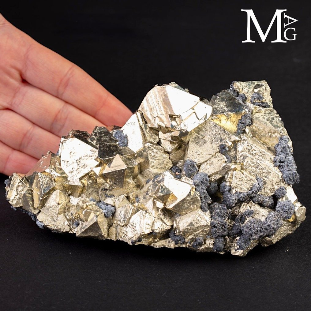 Exceptional Octahedral Pyrite Specimen - Huanzala Mines - Height: 145 mm - Width: 90 mm- 807 g #1.0