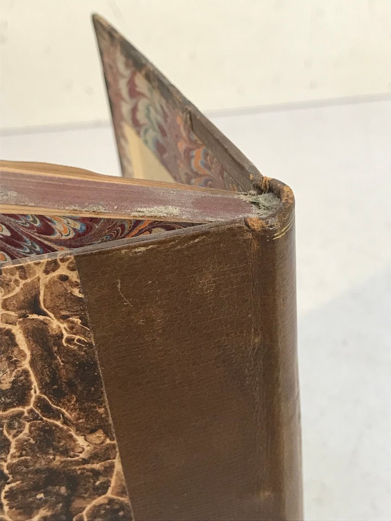 J. de Neuville - Les Joyeuses dames de Paris - 1867 #4.3