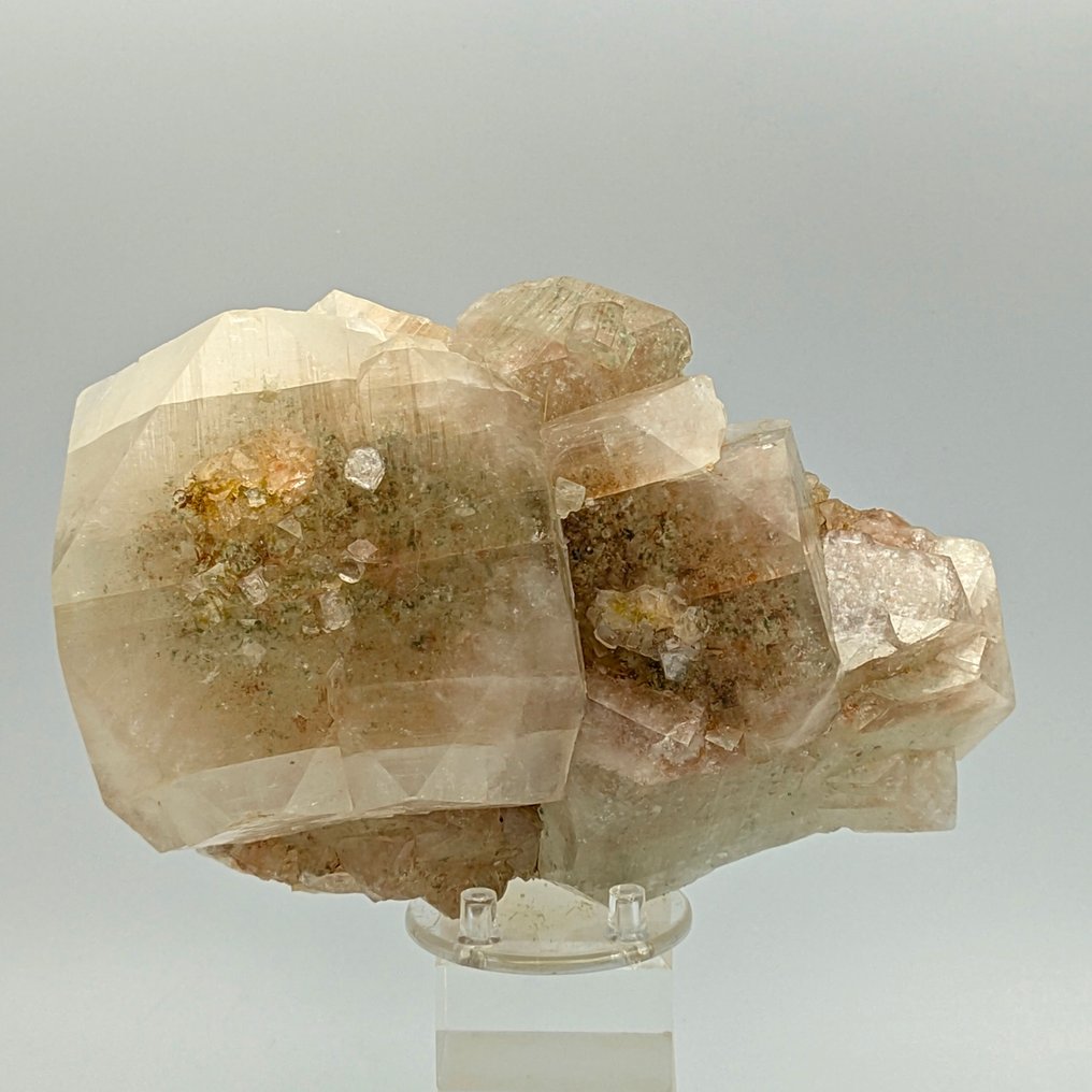 Huge polychrome apophyllite, red and green crystal Crystals on matrix - Height: 165 mm - Width: 102 mm- 1136 g #2.1