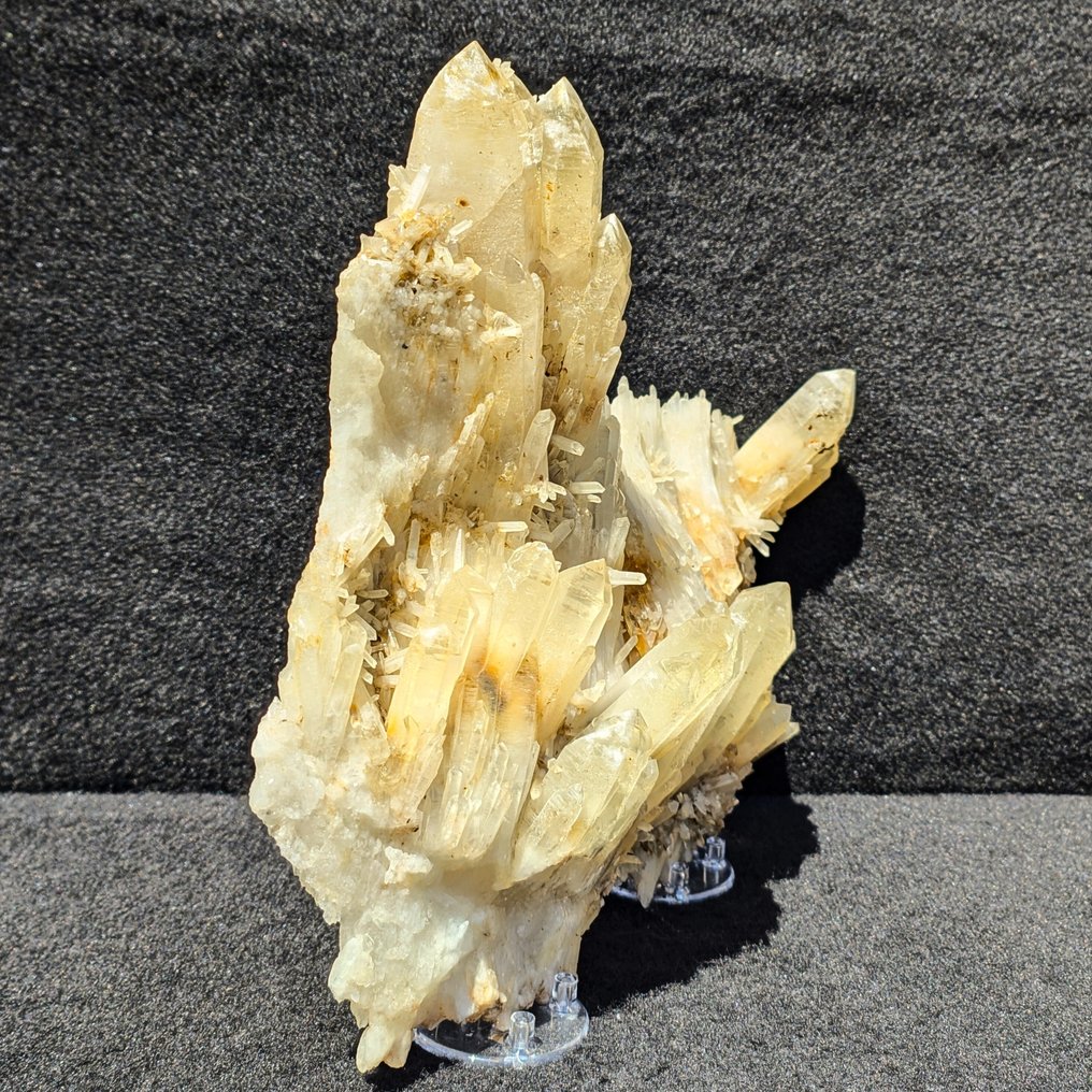 UNICO! 31 cm QUARZO GIALLO ALPINO a "L", Veramente STRANO Cristalli su matrice - Altezza: 313 mm - Larghezza: 253 mm- 2.82 kg #4.3