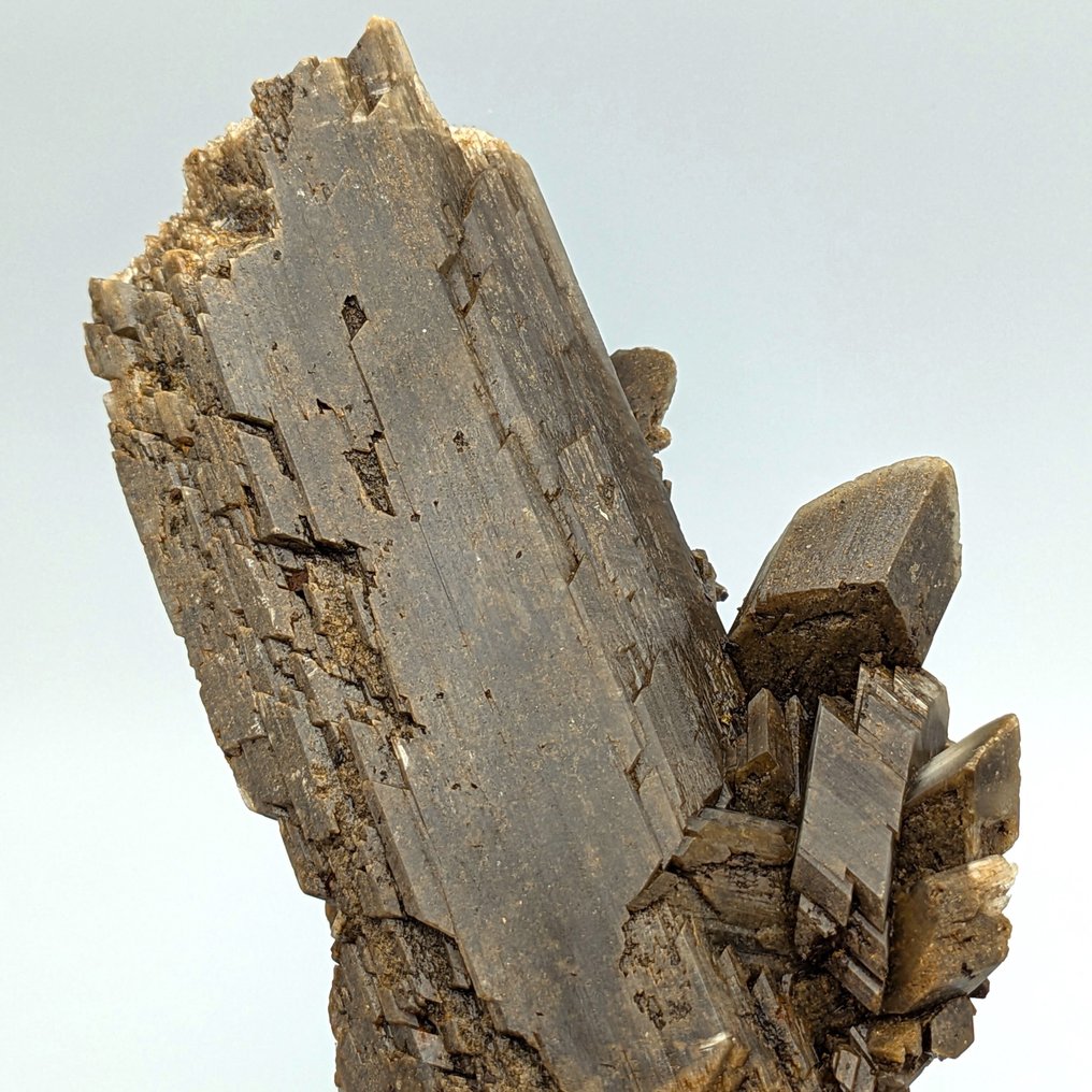 ΤΕΡΑΣΤΙΟ GESSO, κρύσταλλοι από 21cm! NAICA, Μεξικό Κρύσταλλοι - Ύψος: 213 mm - Πλάτος: 115 mm- 728 g #1.0