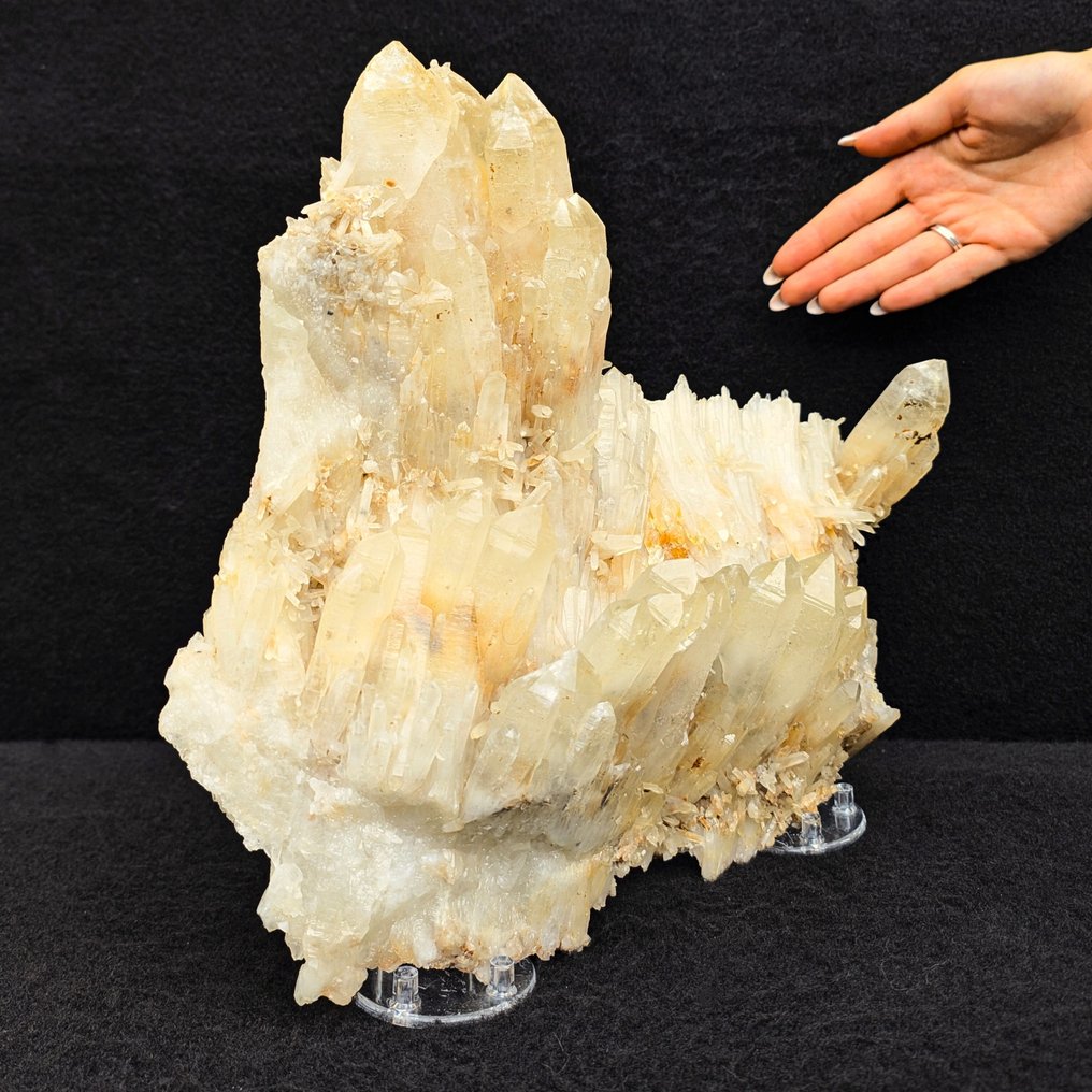 UNICO! 31 cm QUARZO GIALLO ALPINO a "L", Veramente STRANO Cristalli su matrice - Altezza: 313 mm - Larghezza: 253 mm- 2.82 kg #2.1