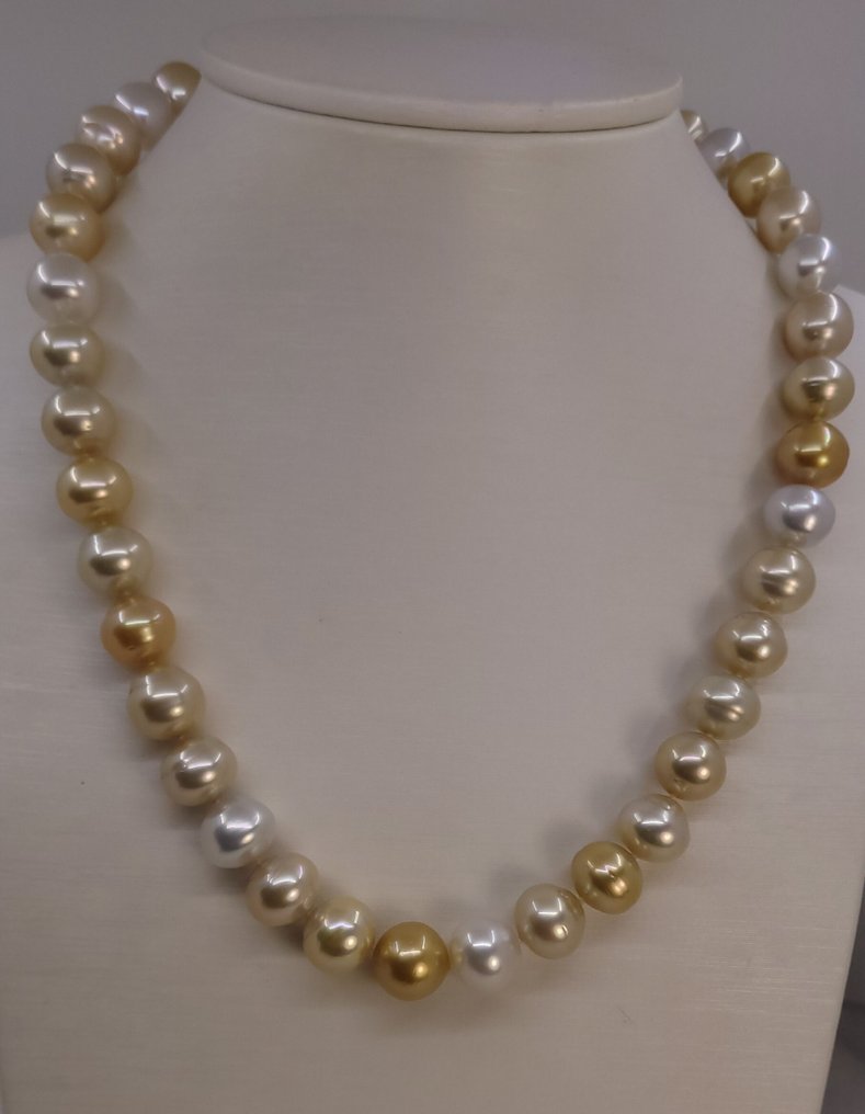 頸鏈 PSL 认证澳大利亚南海珍珠 - 10.0x12.0mm, 銀 #1.0