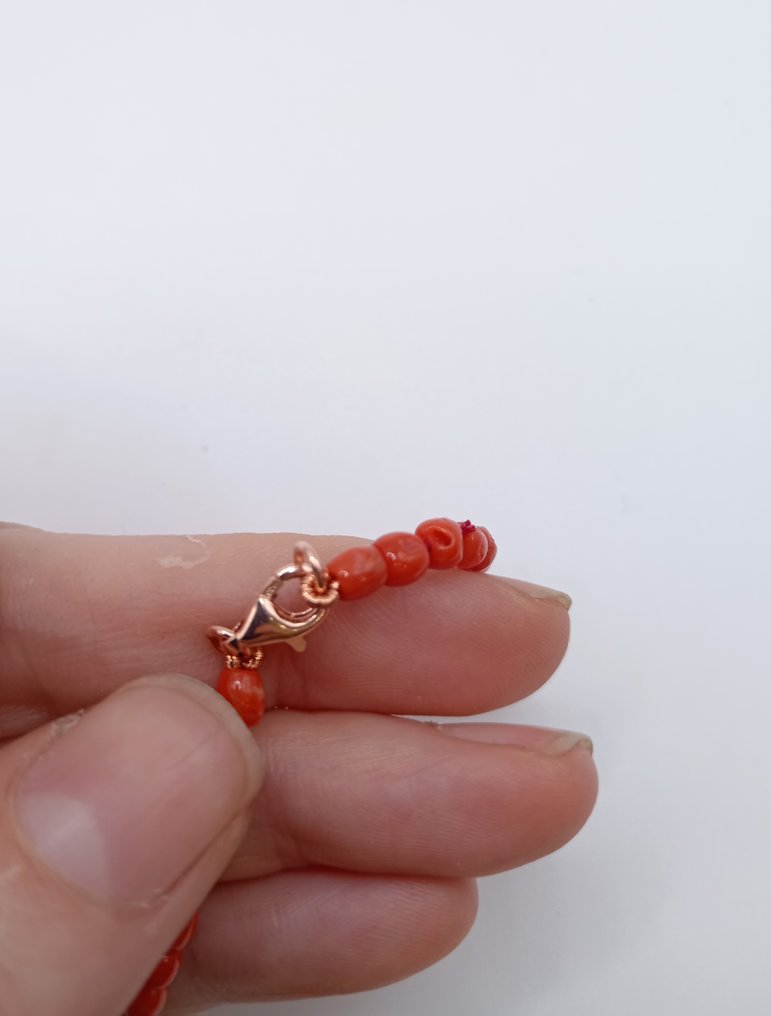 Red Coral Coral - Corallium rubrum (No Reserve Price) #3.2