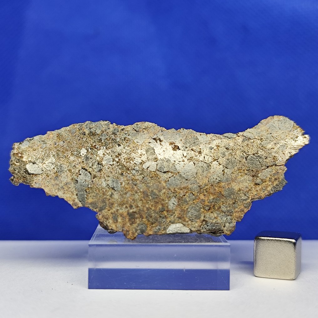 6.9 cm, endcut! DIOGENITE (HED) -achondrite from VESTA asteroid- ERG ATOULIA 002 (Mali, 2020) - 37.4 g #1.0