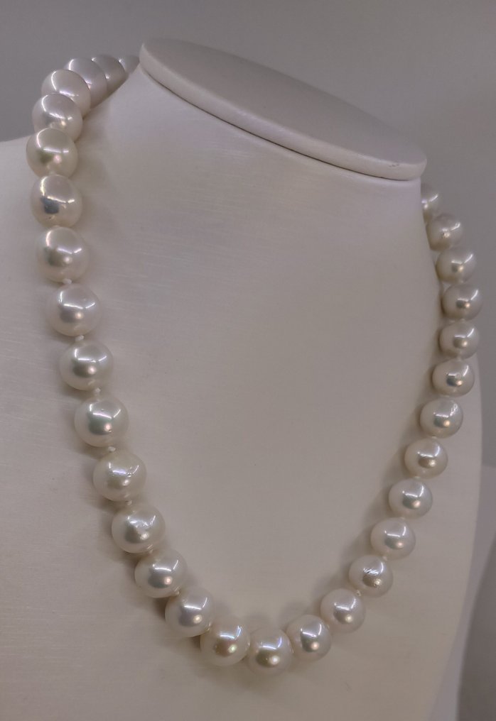 没有保留价 - 项链 - 14K包金 白金 - 10x12毫米爱迪生珍珠 #2.1