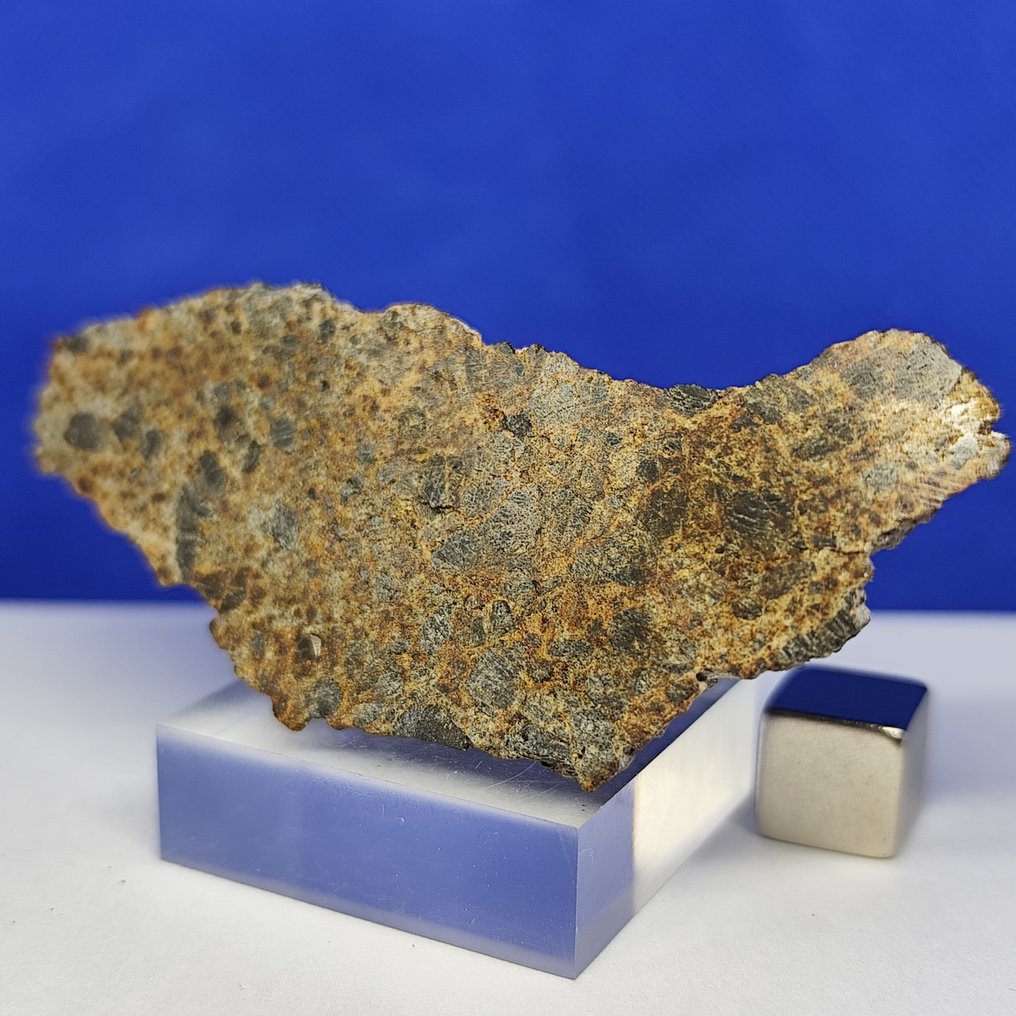6.9 cm, endcut! DIOGENITE (HED) -achondrite from VESTA asteroid- ERG ATOULIA 002 (Mali, 2020) - 37.4 g #4.3