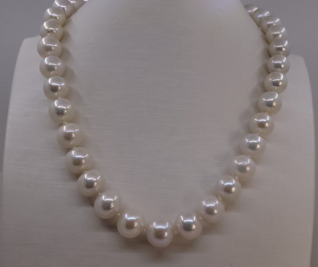 没有保留价 - 项链 - 14K包金 白金 - 10x12毫米爱迪生珍珠 #3.2