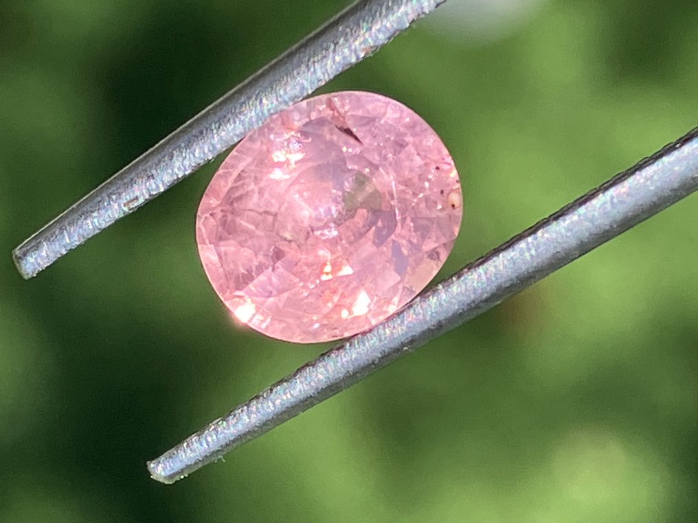 1 pcs  橙色, 粉色 莲花蓝宝石  - 1.60 ct - 意大利宝石学院（IGI） #1.0