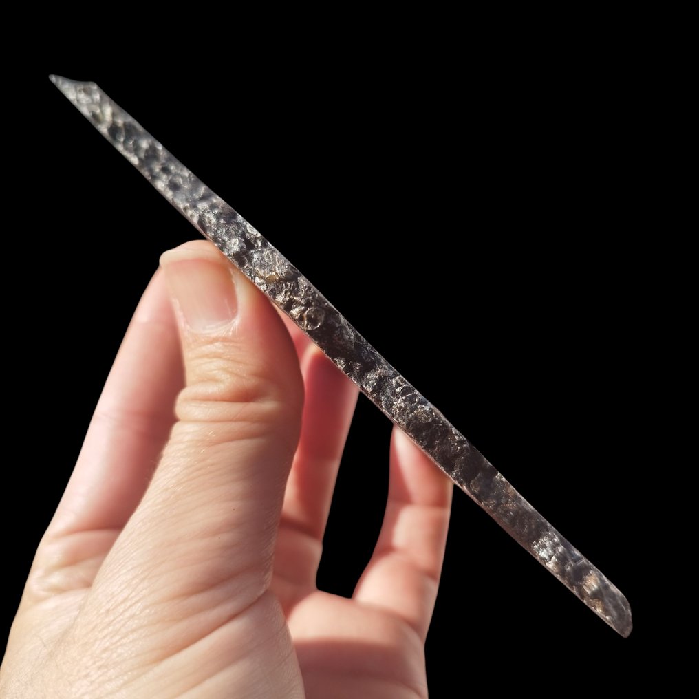 Siliciumgesteente IJzermeteoriet Campo del Cielo (Argentinië, 4500 jaar) Gestabiliseerd. - Hoogte: 18 cm - 463 g #2.1
