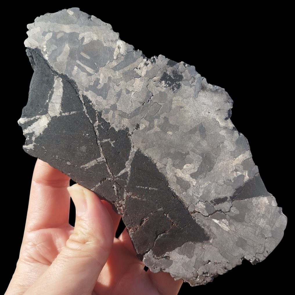 Siliciumgesteente IJzermeteoriet Campo del Cielo (Argentinië, 4500 jaar) Gestabiliseerd. - Hoogte: 18 cm - 463 g #1.0