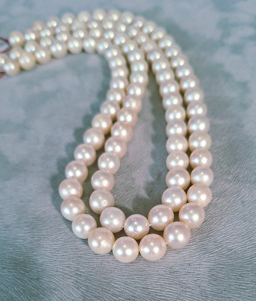 Pearl - Perle - String of beads #1.0