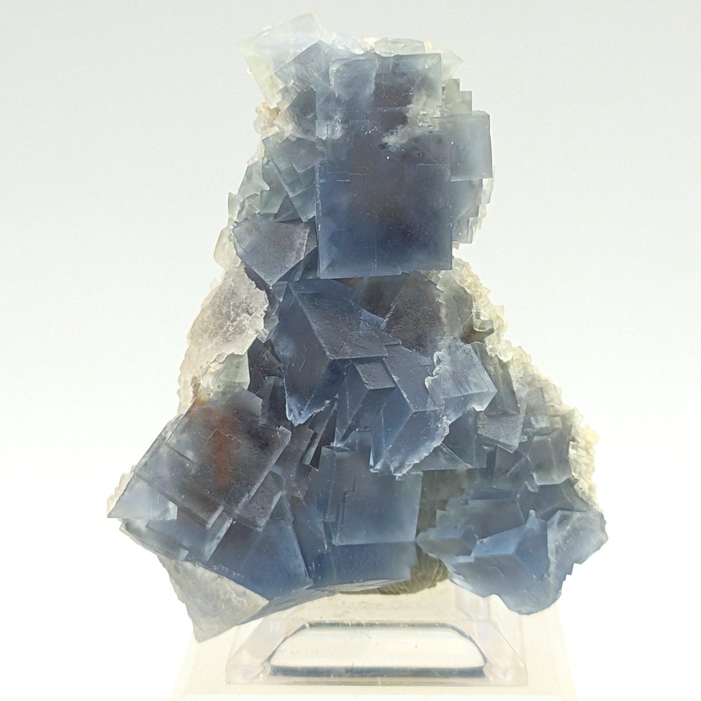 Svært sjelden AZURFLUORITT, INNVEVDE KUBER, Sicilia Krystaller i indlejring - Høyde: 65 mm - Bredde: 45 mm- 64 g #1.0