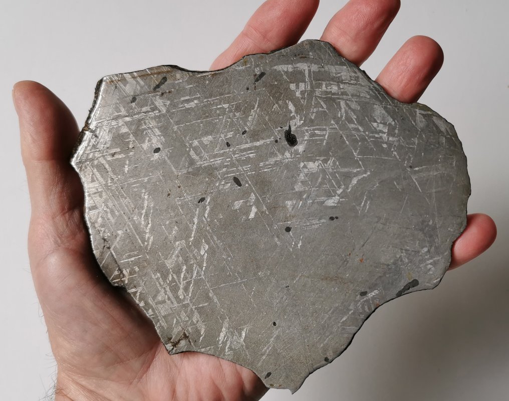 Meteorite Gibeon Meteorite Ferroso - Altezza: 138 mm - Larghezza: 120 mm - 336 g - (1) #1.0