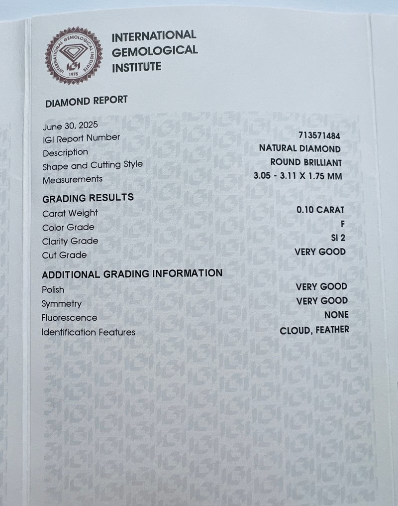 没有保留价 - 2 pcs 钻石  (天然)  - 0.22 ct - 圆形 - F - SI1 微内含一级, SI2 微内含二级 - 国际宝石研究院（IGI） - 一对 #3.2