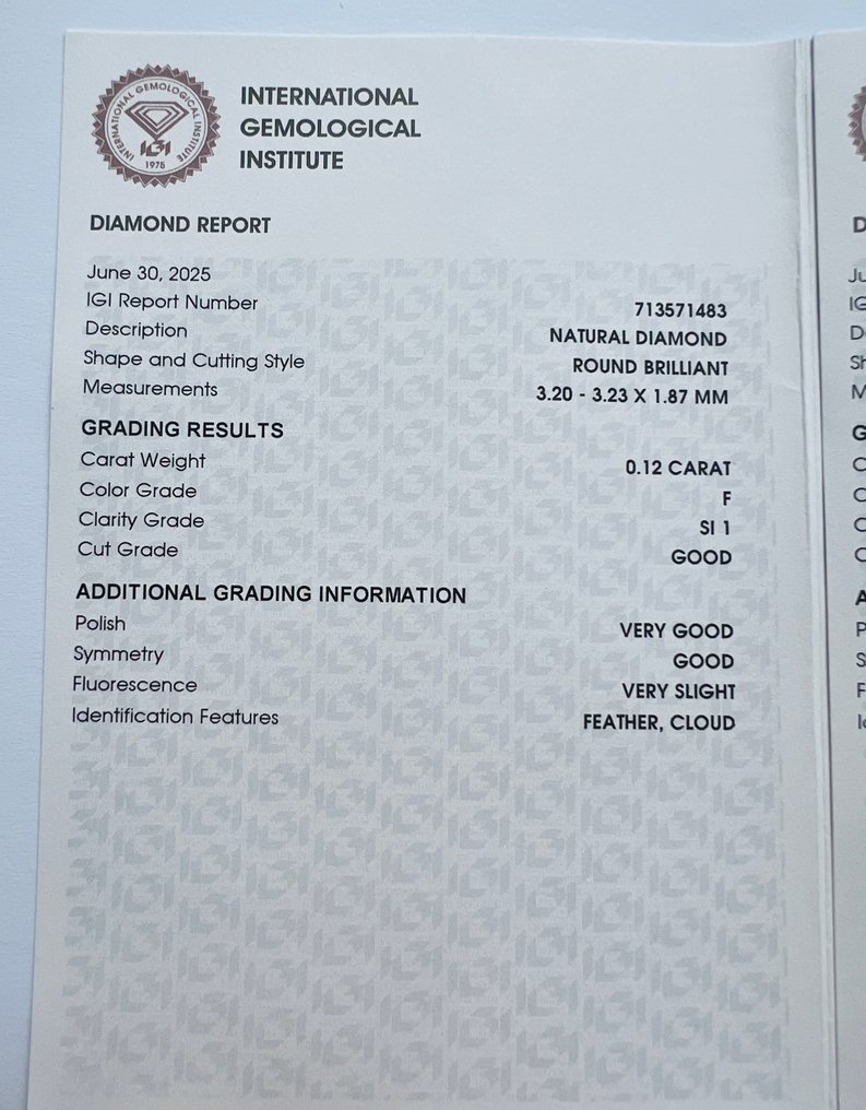 没有保留价 - 2 pcs 钻石  (天然)  - 0.22 ct - 圆形 - F - SI1 微内含一级, SI2 微内含二级 - 国际宝石研究院（IGI） - 一对 #2.1