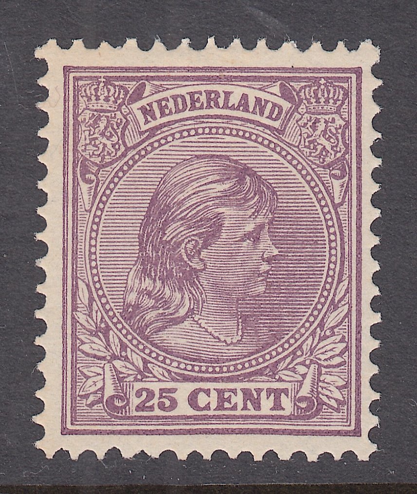 荷兰 1898 - Koningin Wilhelmina - NVPH 42 #1.0