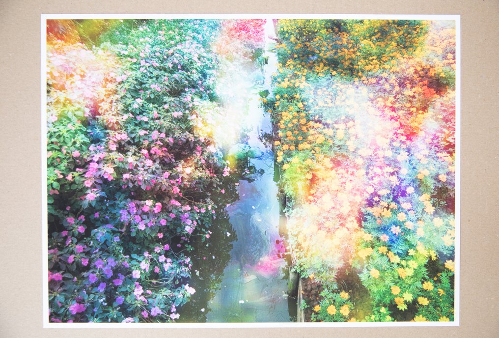 Viet Ha Tran - Flower dreams #1.0