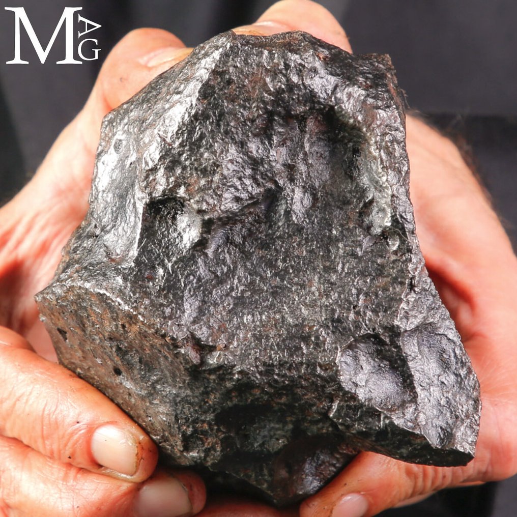 Campo Del Cielo - Core of an asteroid Campo del Cielo Meteorite – The Guardian of the Pampas - Height: 123 mm - Width: 103 mm- 3090 g #2.1