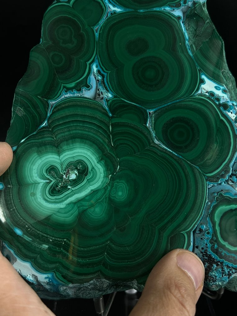 稀有的青绿色铜蓝石抛光板——收藏级 钟乳石切片 - 高度: 210 mm - 宽度: 160 mm- 3182 g - (1) #4.3