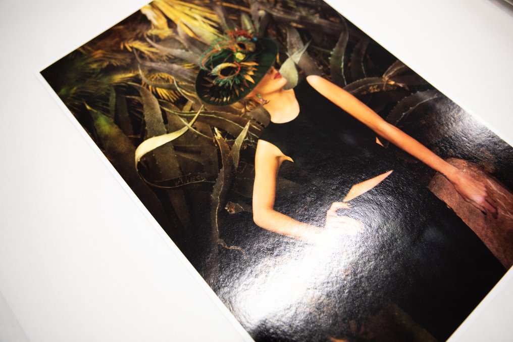 Viet Ha Tran - Cactus lady #4.3