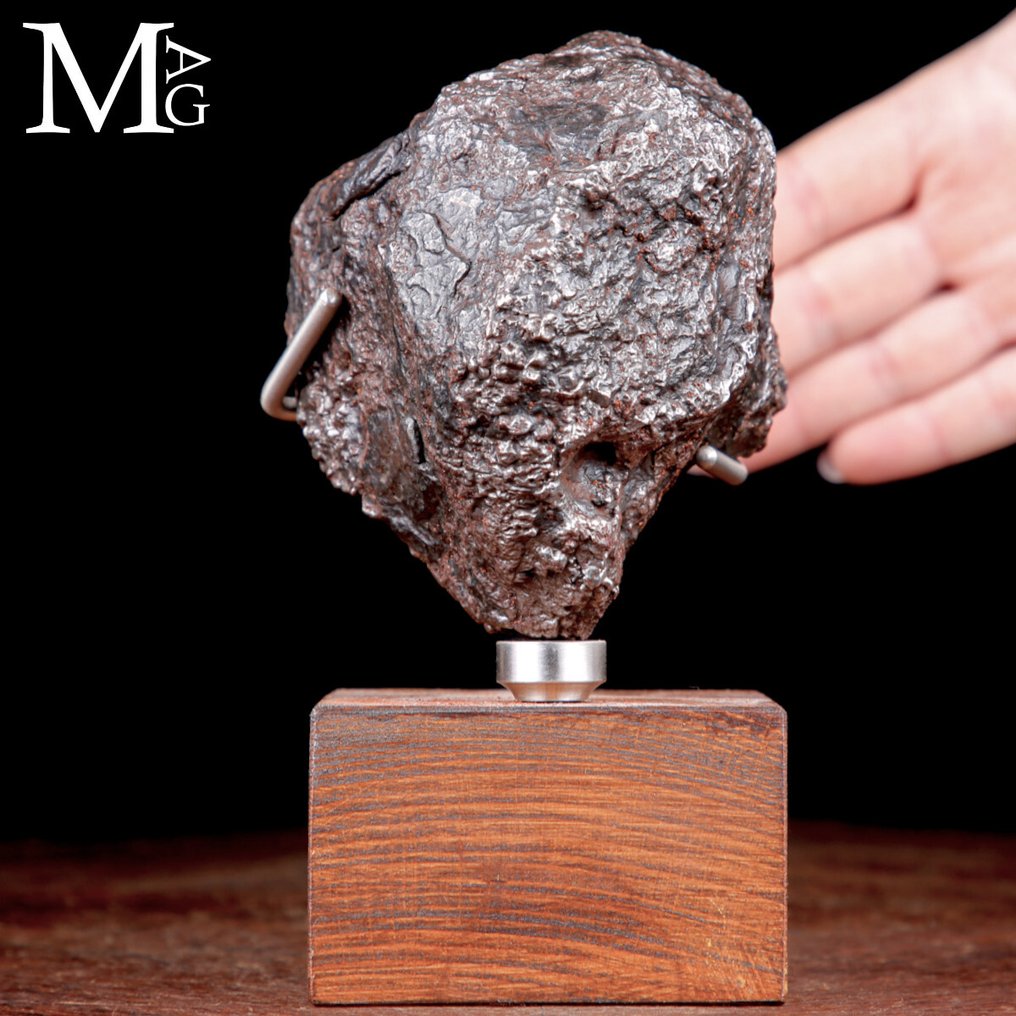 Campo Del Cielo - Core of an asteroid Campo del Cielo Meteorite – Cosmic Sculpture on Artist’s Base - Height: 164 mm - Width: 89 mm- 2314 g #1.0